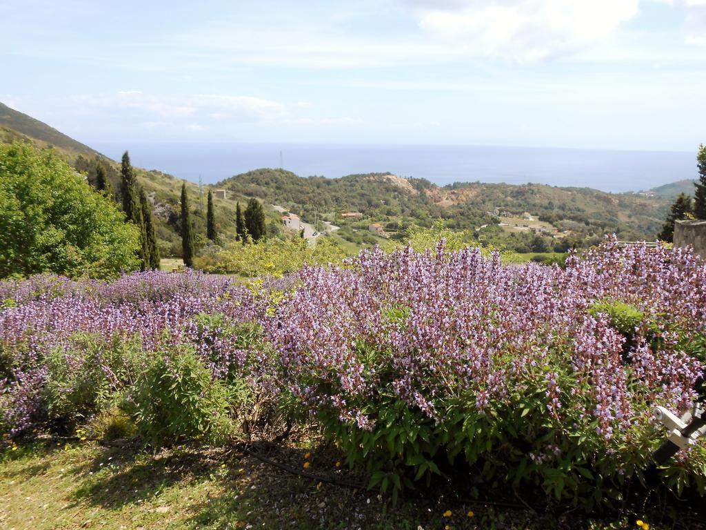 Elbadoc Camping Village Cavo Extérieur photo